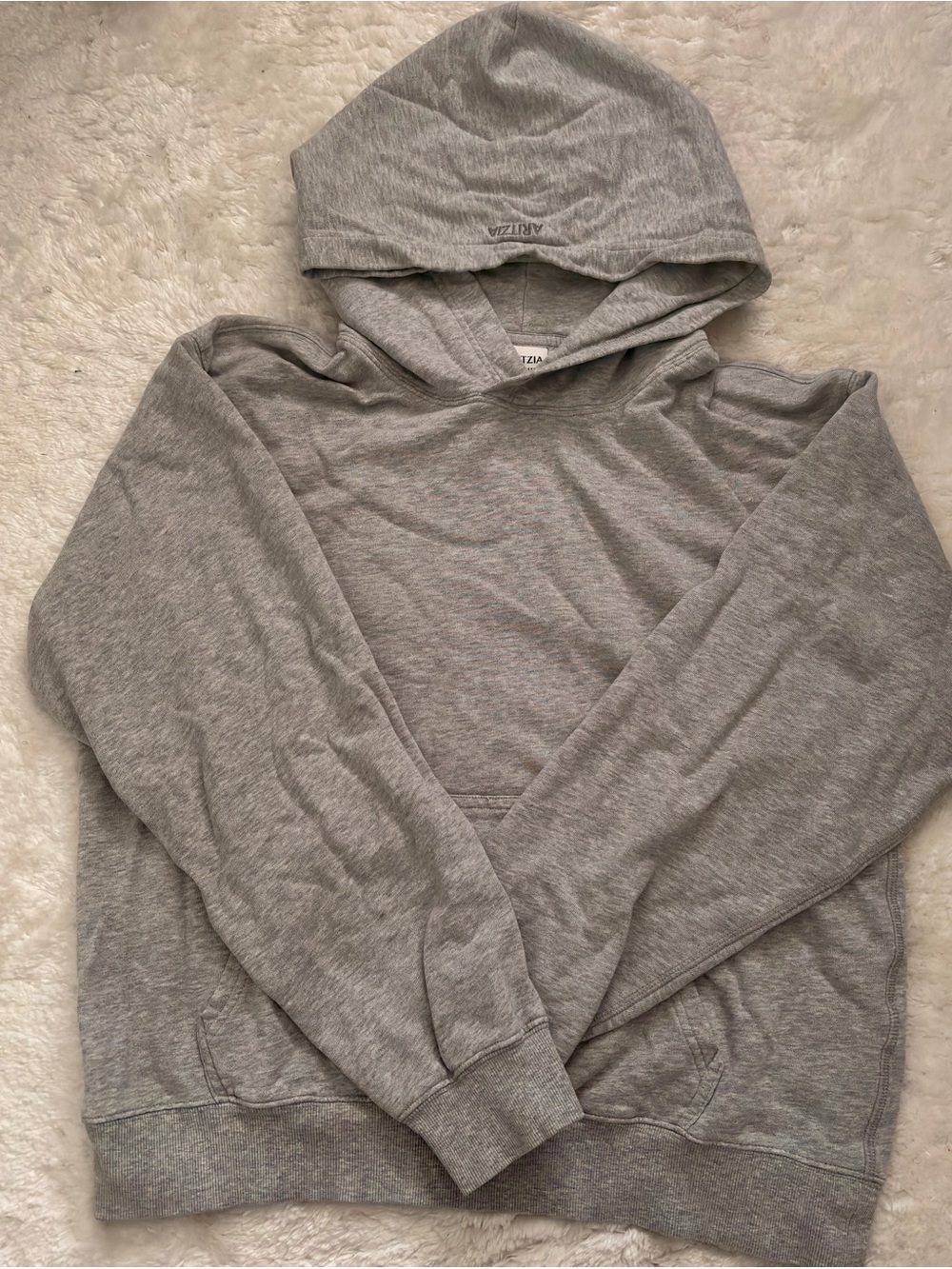 Aritzia Terry Hoodie